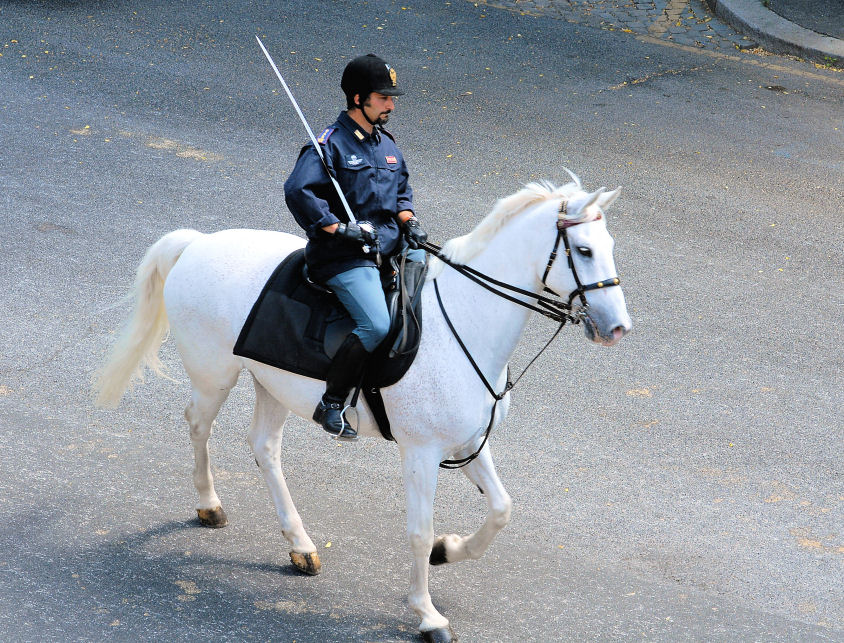 Xilocopa e ancora polizia a cavallo